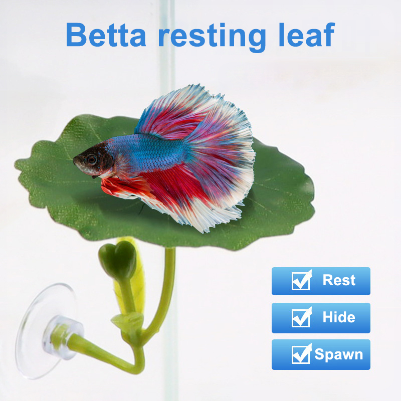Planted Aquarium For Betta - 1 szt. Zielony liść-hamak dla ryb