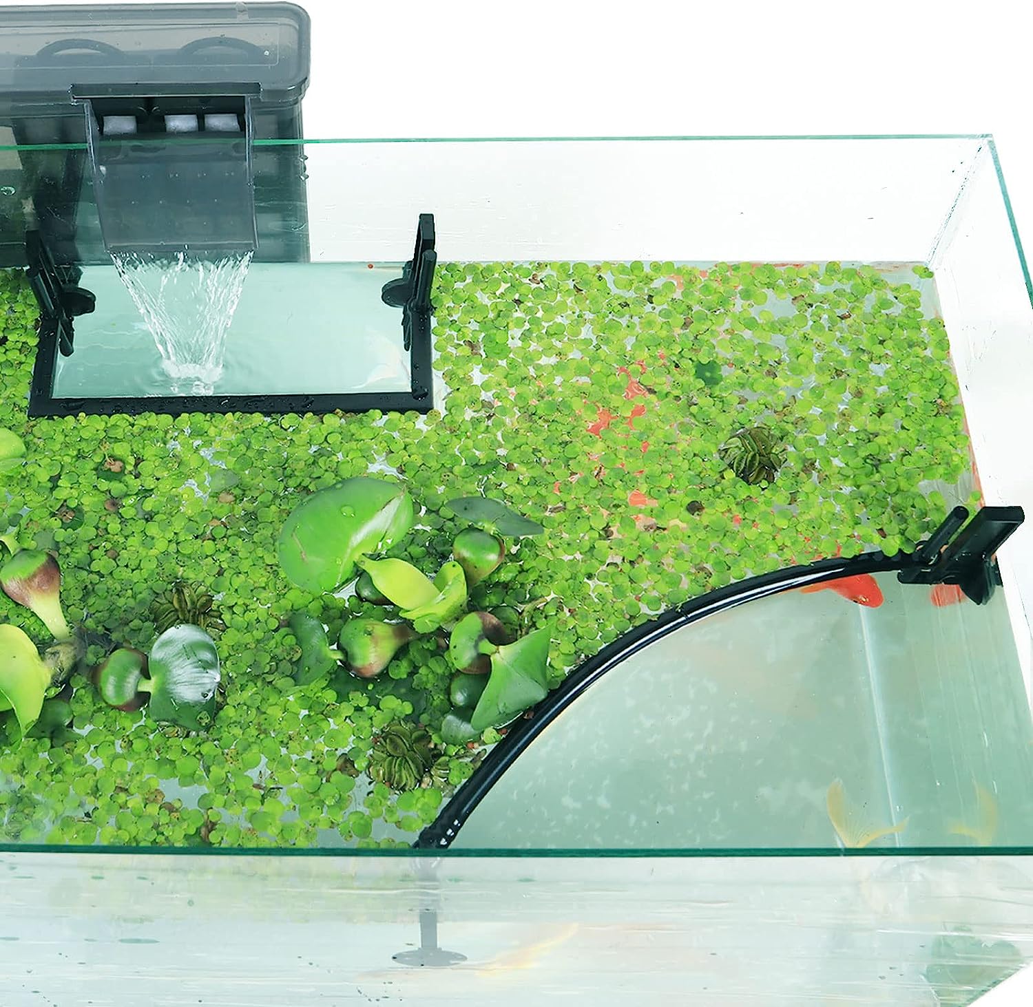 Planted Aquarium Heater - Pływająca roślina akwariowa Corral, zaakceptujące pływające