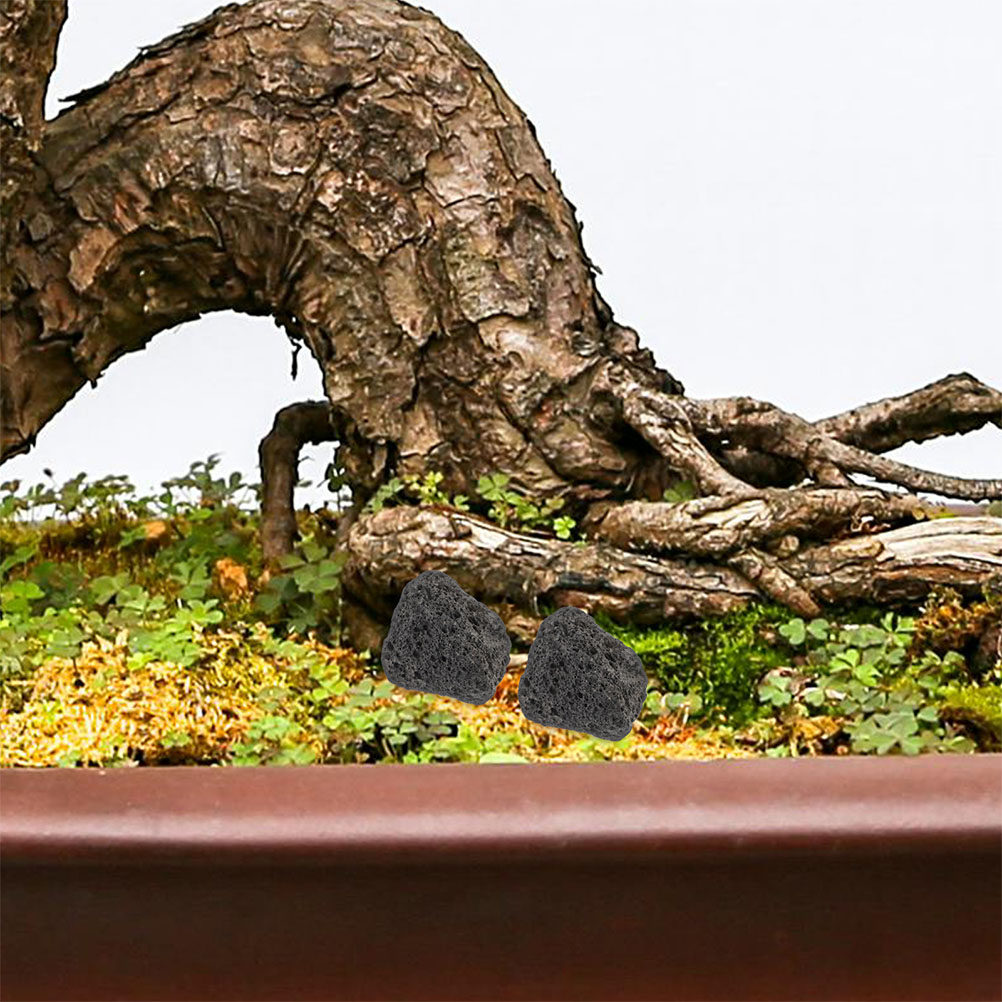 Planted Aquarium With Rocks - Kamienie wulkaniczne do akwarium, naturalne małe