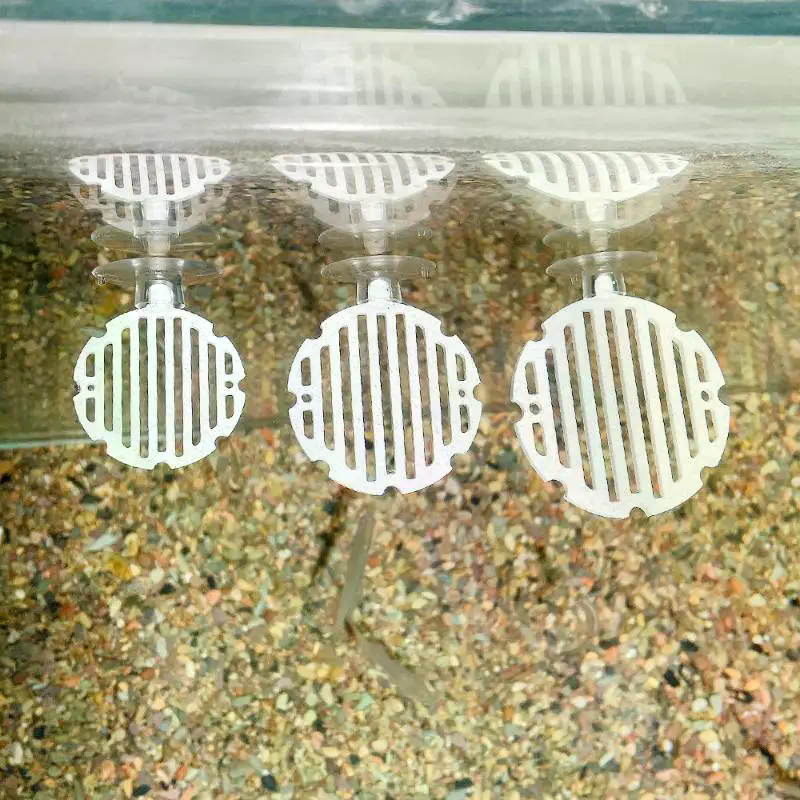 Planted Aquarium For Betta - Plastikowy akwarium ze sztuczną siatką, siedzisko
