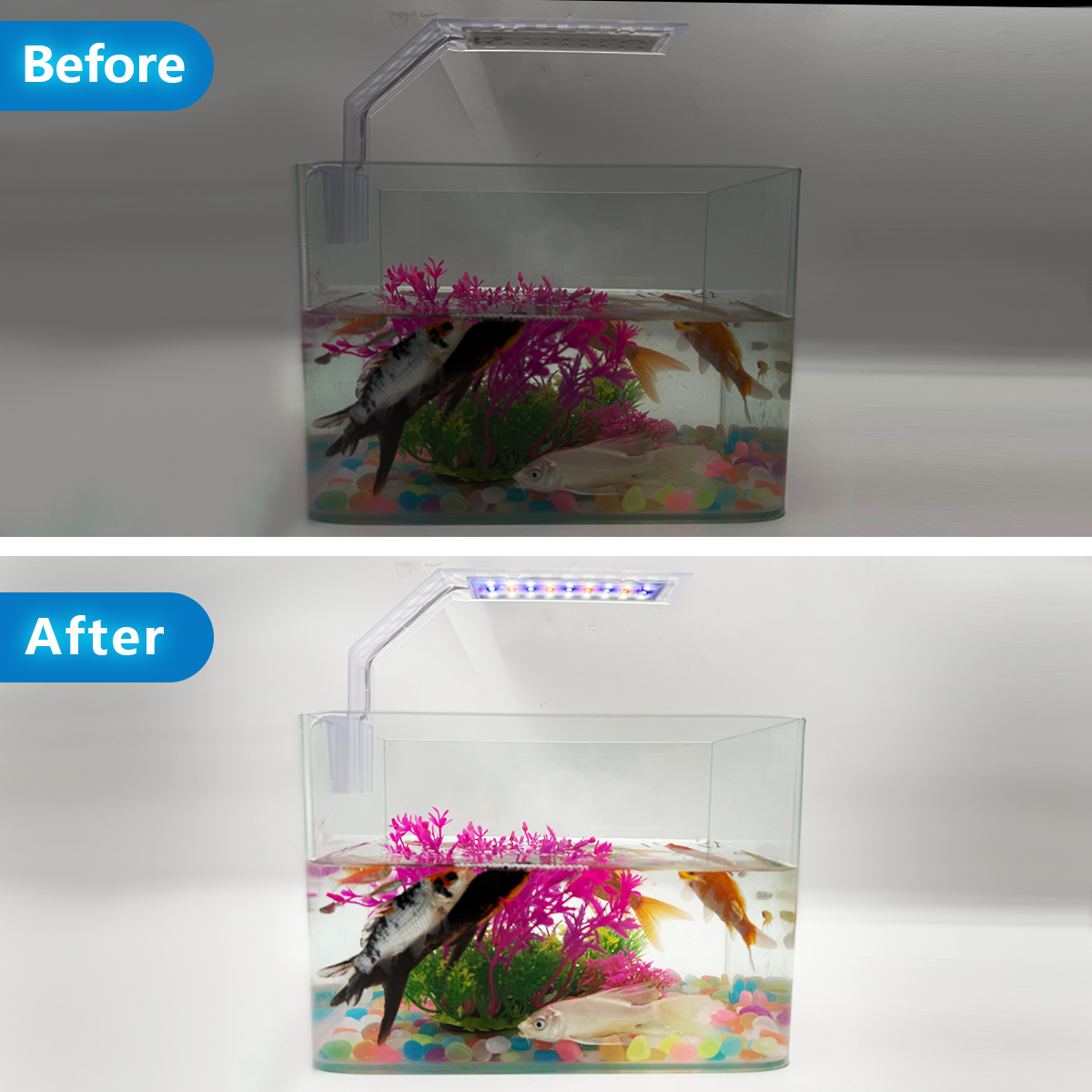 Super cienkie oświetlenie akwa – Aquarium Plant Growth Light recenzja i cena