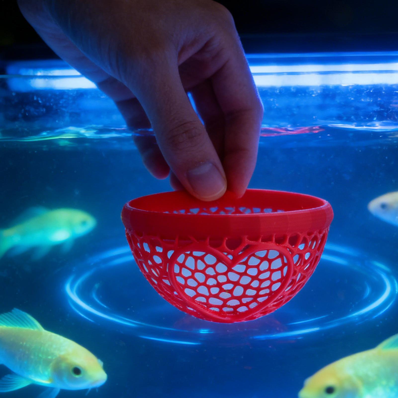 Pływające schronienie dla bett – Planted Aquarium For Betta recenzja i cena