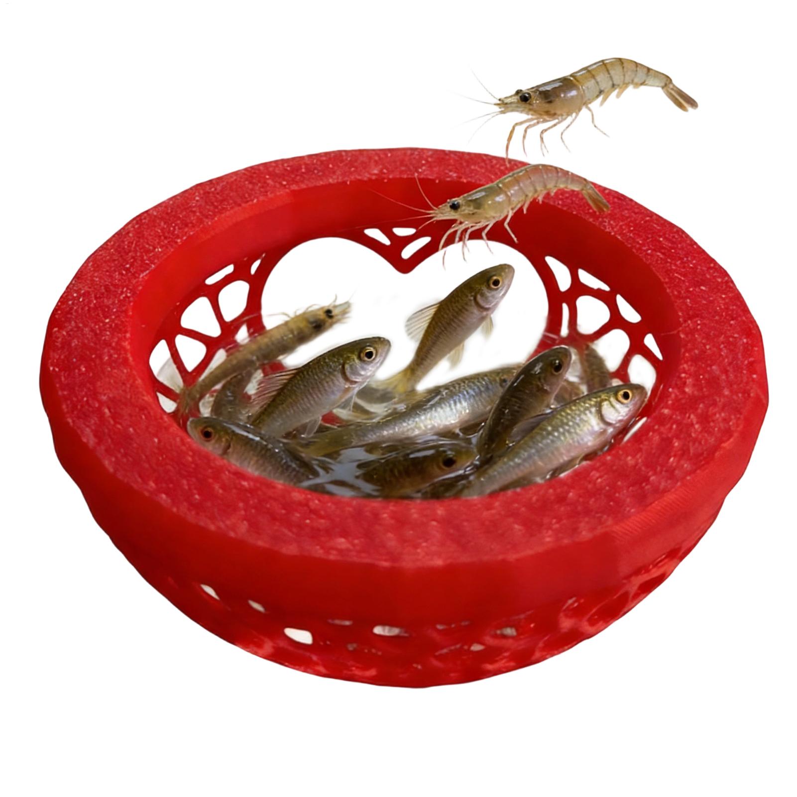 Pływające schronienie dla bett – Planted Aquarium For Betta recenzja i cena