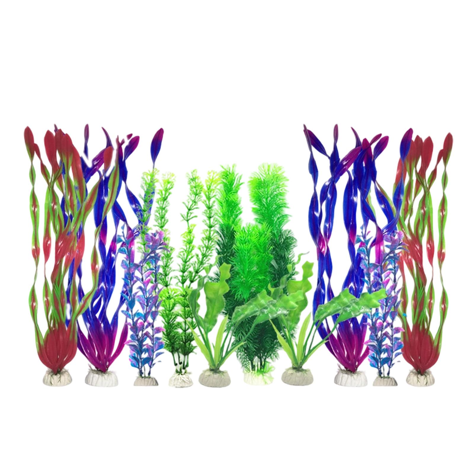 Sztuczne rośliny do akwarium,  – Planted Aquarium For Betta recenzja i cena