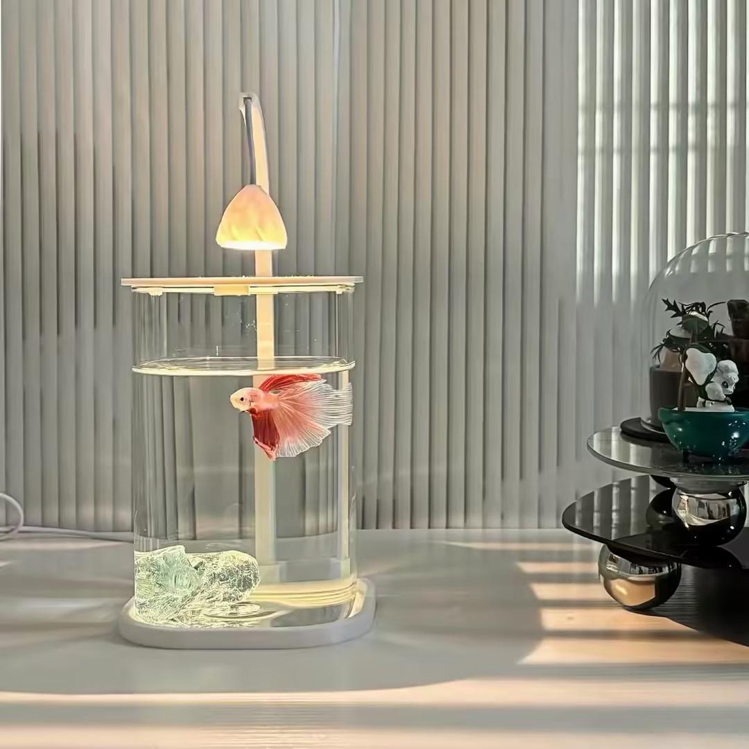 360 °   Panoramiczne Przezrocz – Planted Aquarium For Betta recenzja i cena