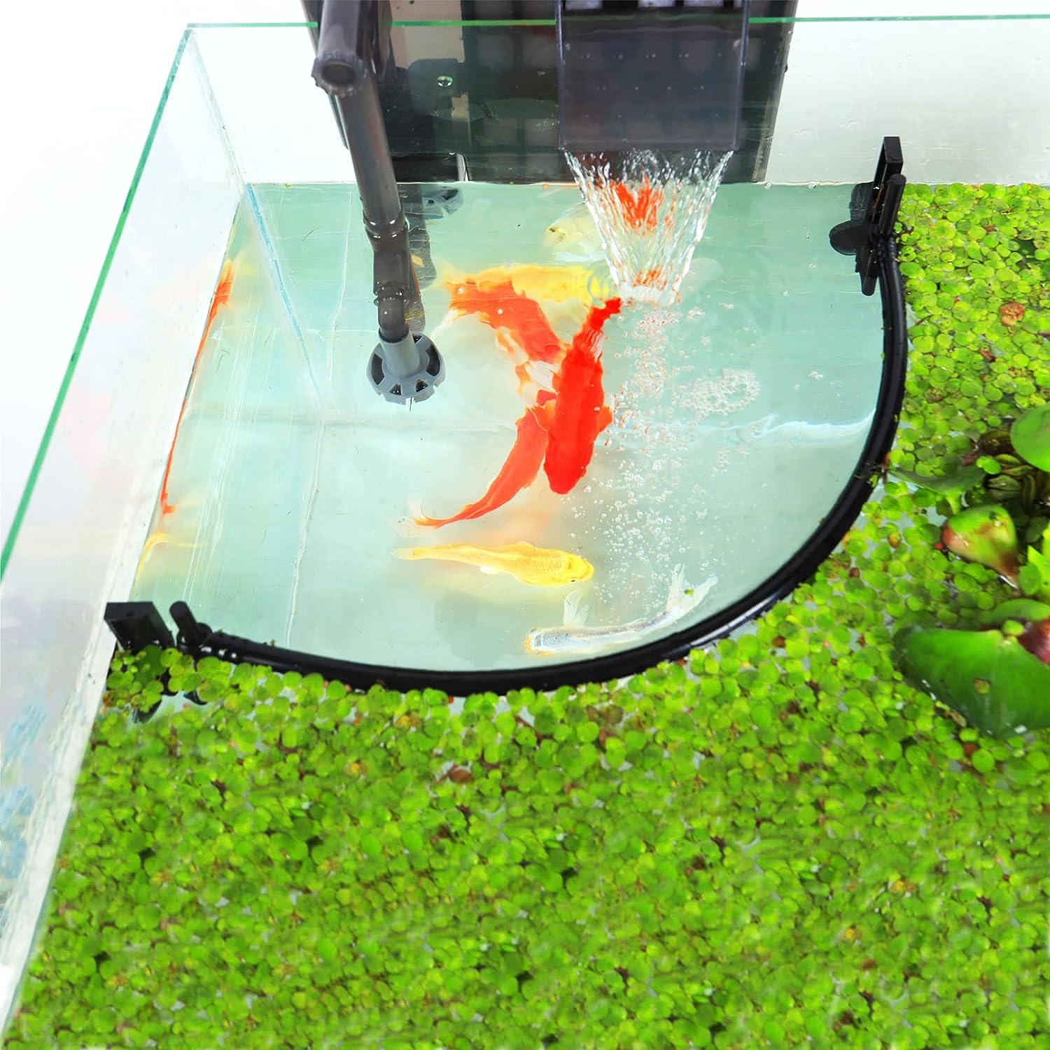 Pływająca roślina akwariowa Co – Planted Aquarium Heater recenzja i cena