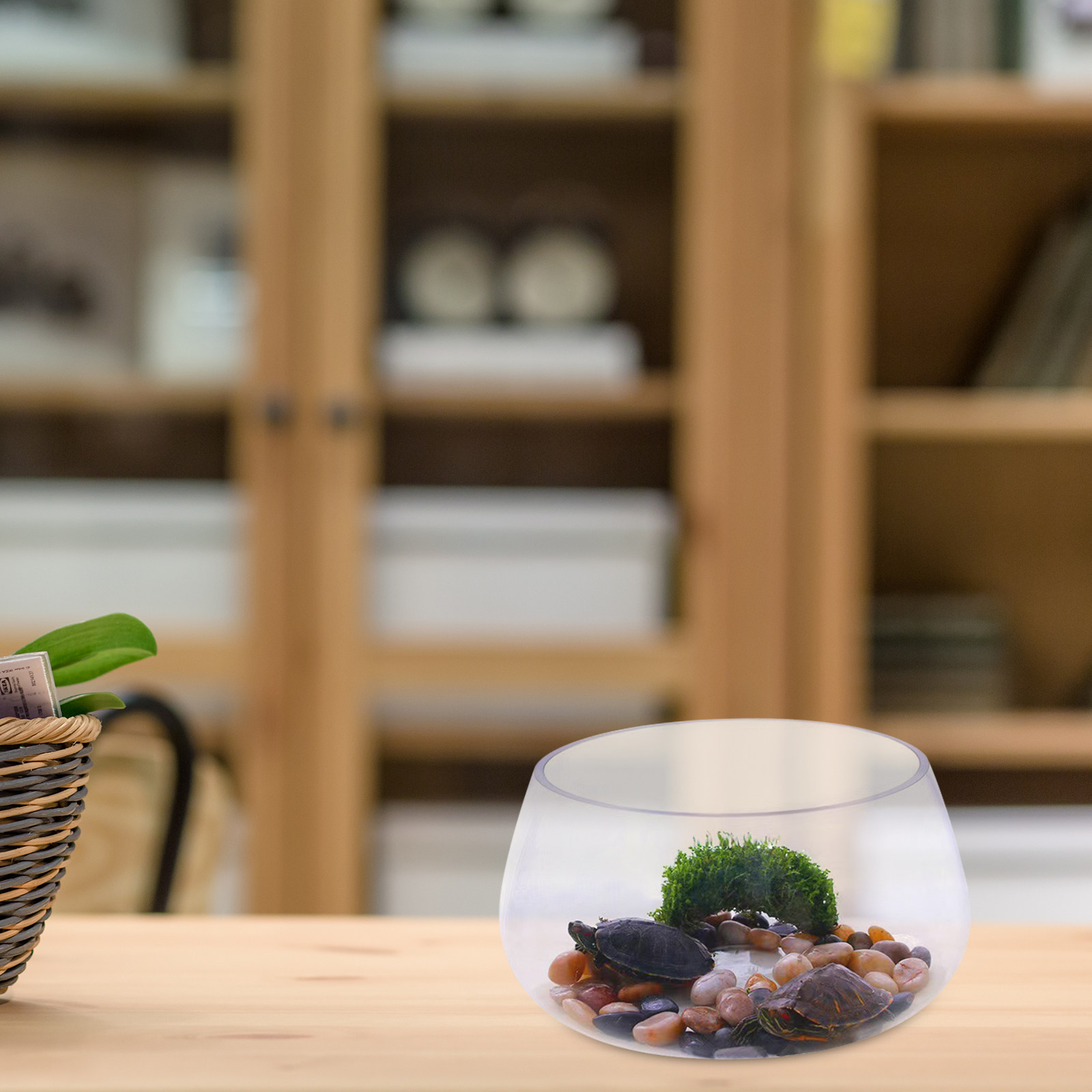 Mała Okrągła Przezroczysta Szk – Aquarium Planted Shop recenzja i cena