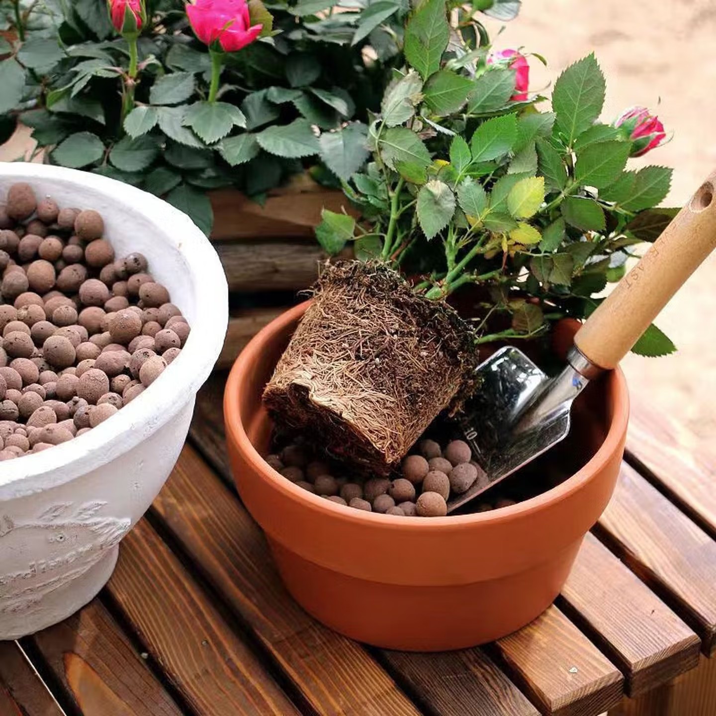 100-500g Wielokrotnego użytku  – Aquasoil Substrate recenzja i cena