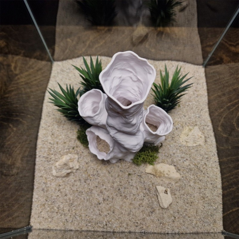 Gorąca Wyprzedaż Drukowany w 3 – Planted Aquarium For Betta recenzja i cena