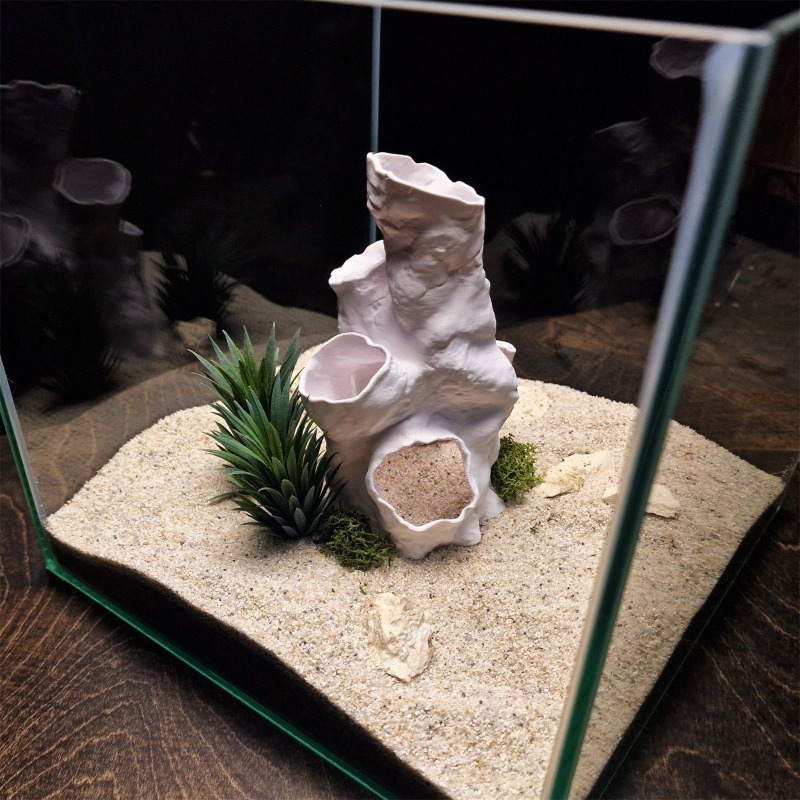 Gorąca Wyprzedaż Drukowany w 3 – Planted Aquarium For Betta recenzja i cena
