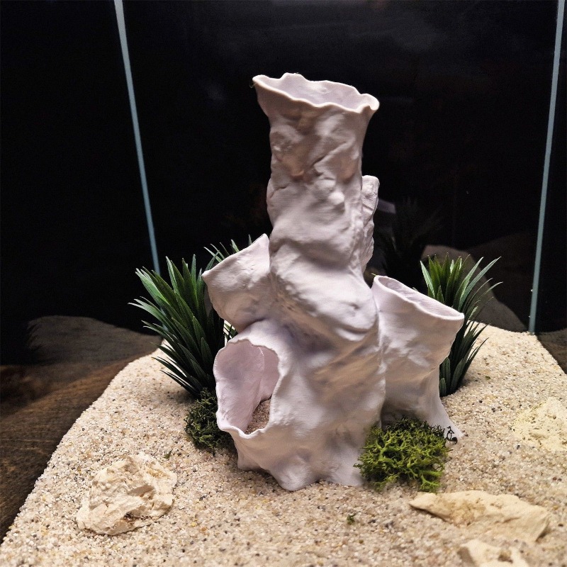 Gorąca Wyprzedaż Drukowany w 3 – Planted Aquarium For Betta recenzja i cena
