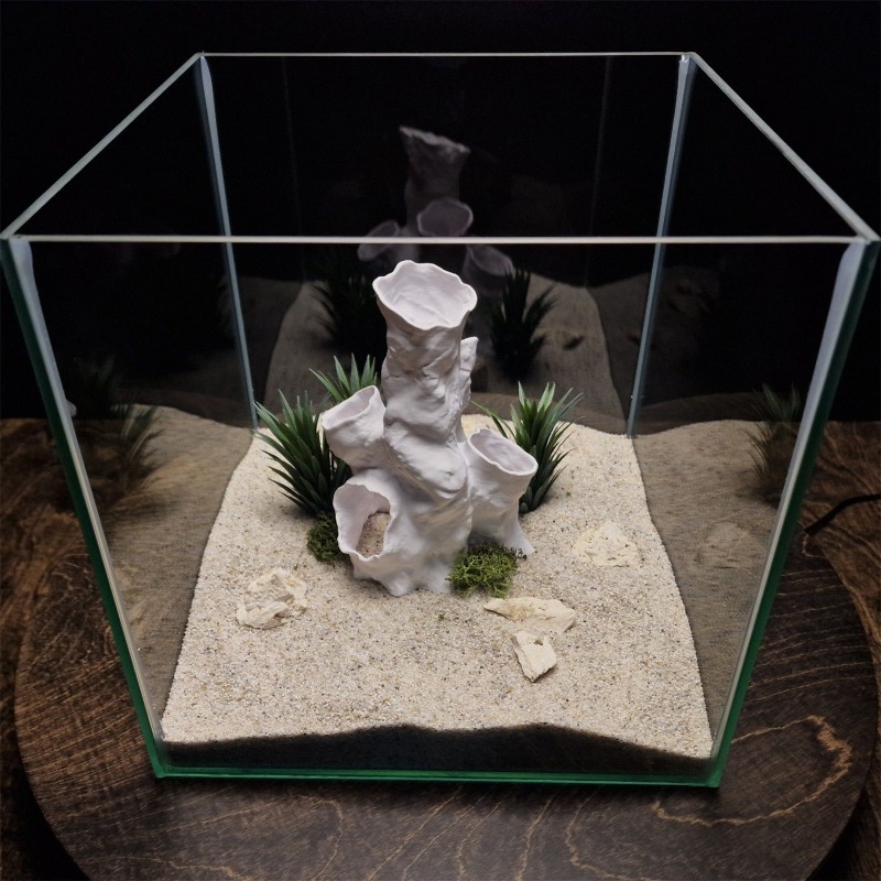 Gorąca Wyprzedaż Drukowany w 3 – Planted Aquarium For Betta recenzja i cena
