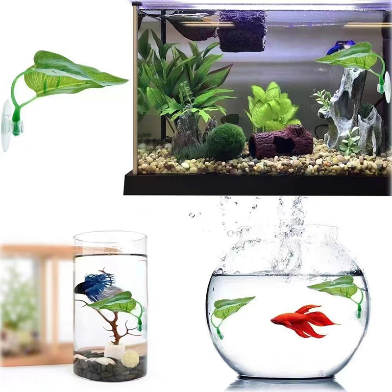 Sztuczne rośliny wodne do akwa – Planted Aquarium For Betta recenzja i cena
