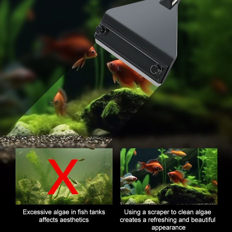 Akwarium Środek do usuwania gl – Planted Aquarium Algae Remover recenzja i cena