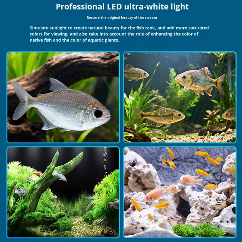 Inteligentne oświetlenie do ak – Planted Aquarium Algae Remover recenzja i cena