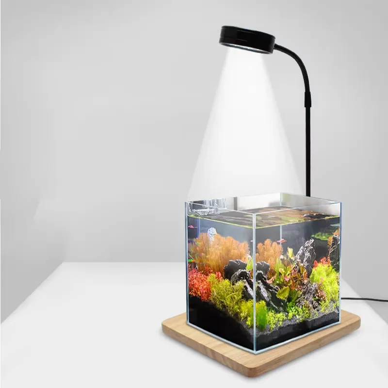 Pełnospektralne światło LED z  – Planted Aquarium For Betta recenzja i cena