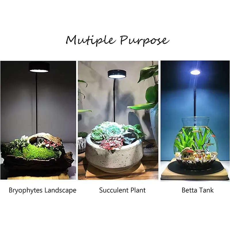 Pełnospektralne światło LED z  – Planted Aquarium For Betta recenzja i cena