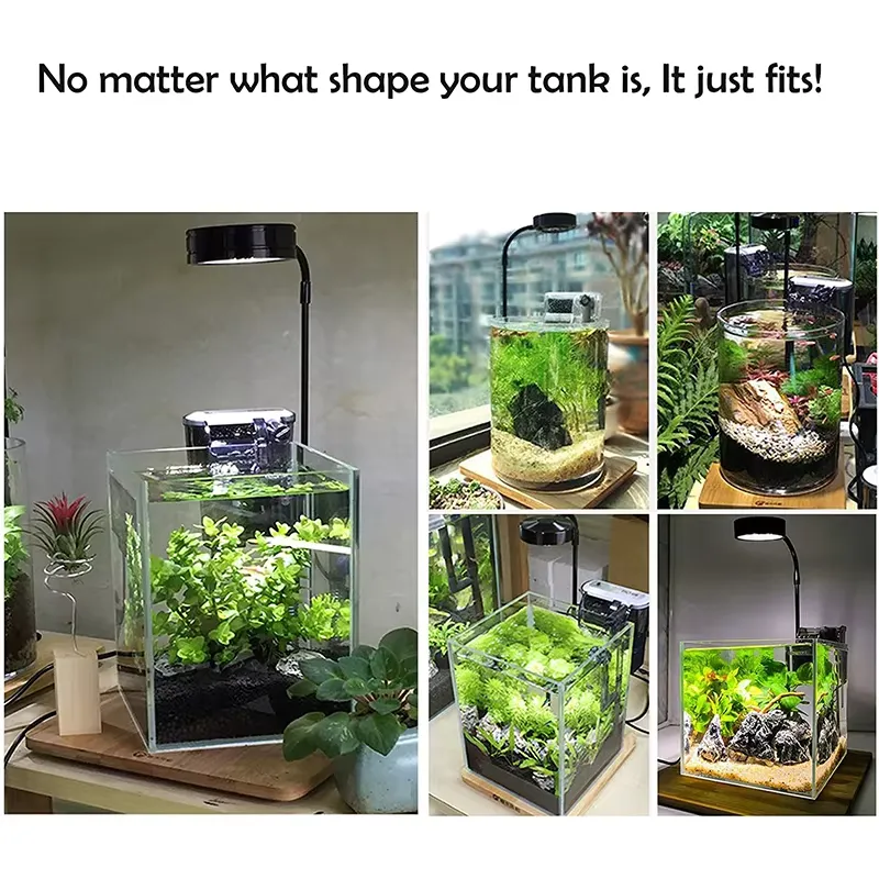 Pełnospektralne światło LED z  – Planted Aquarium For Betta recenzja i cena