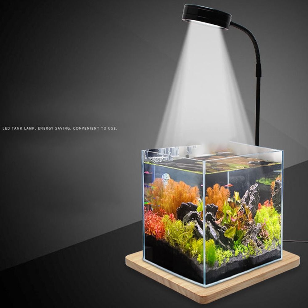 Lampa LED do akwarium 10W, reg – Aquarium Plant Growth Light recenzja i cena