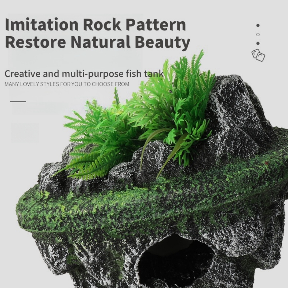 Zawieszany akwarium na wyspie  – Planted Aquarium With Rocks recenzja i cena