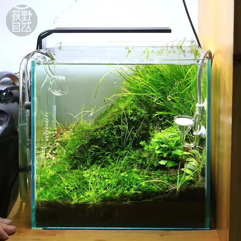 Chihiros C Series ADA Style Pl – Aquarium Plant Growth Light recenzja i cena