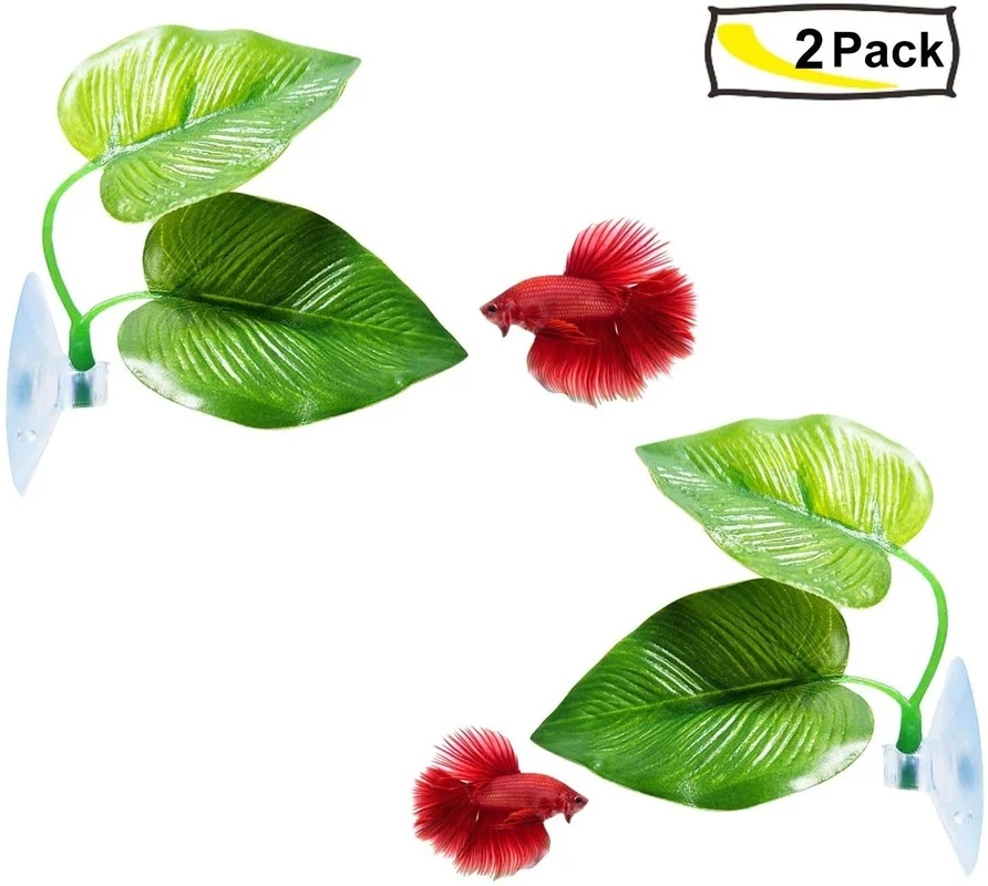 Hamak Betta Fish Leaf symulują – Planted Aquarium For Betta recenzja i cena
