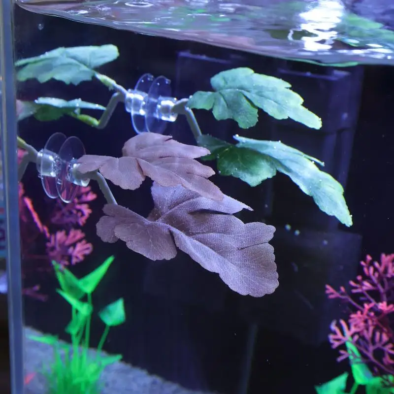 Hamak z liści do akwarium dla  – Planted Aquarium For Betta recenzja i cena