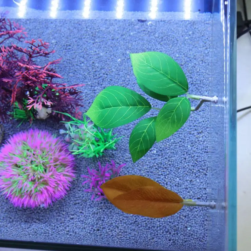 Hamak z liści do akwarium dla  – Planted Aquarium For Betta recenzja i cena