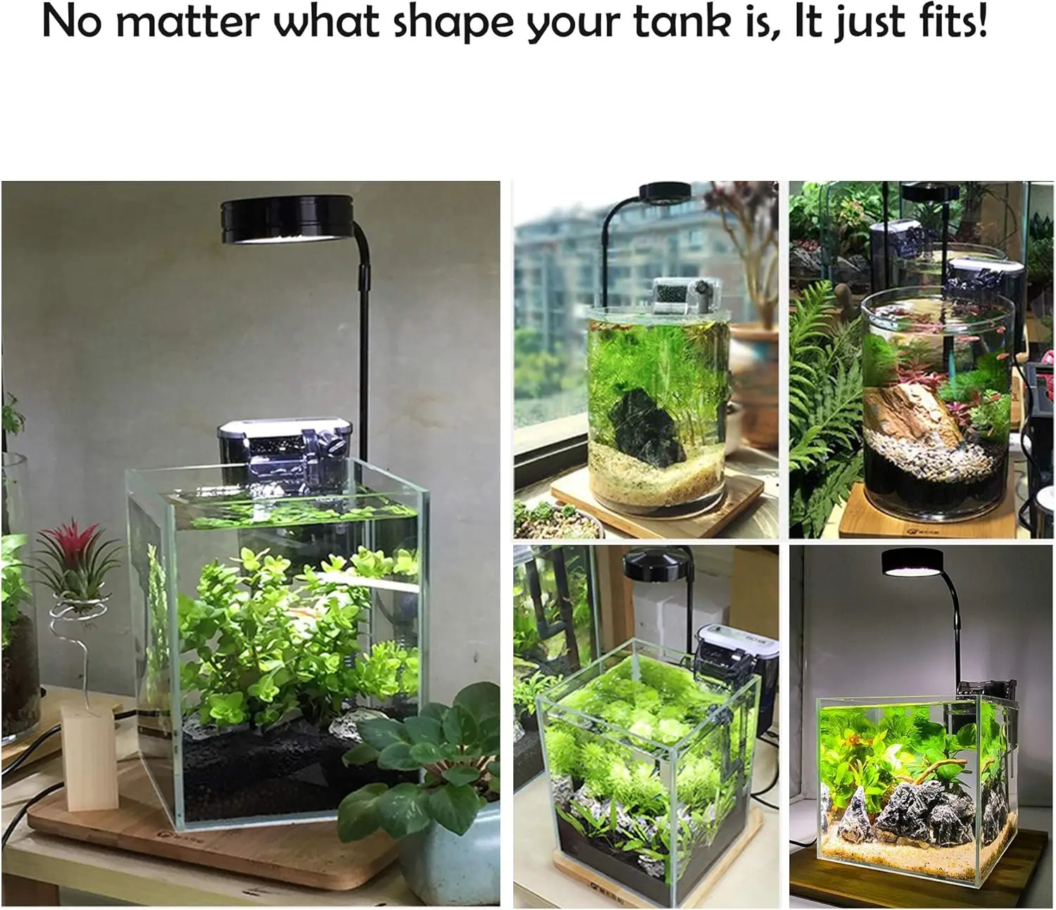 Oświetlenie LED do uprawy akwa – Planted Aquarium For Betta recenzja i cena