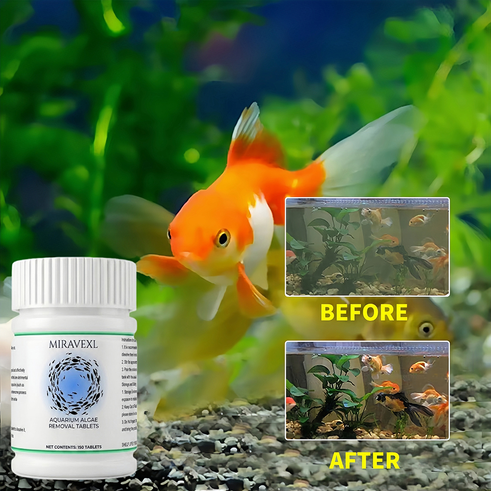 Tabletki do usuwania alg z akw – Planted Aquarium Algae Remover recenzja i cena