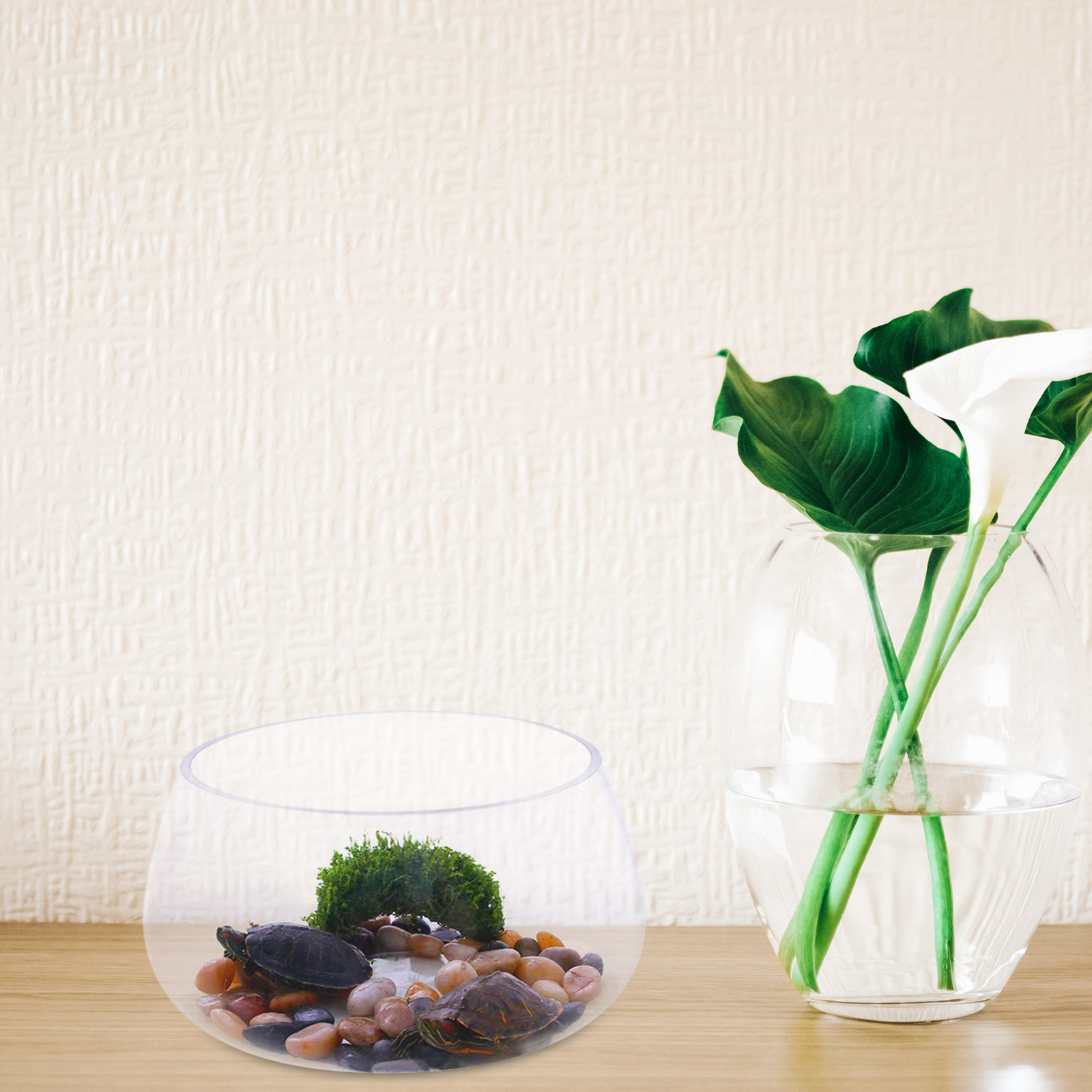 Okrągły przezroczysty szklany  – Aquarium Planted Shop recenzja i cena