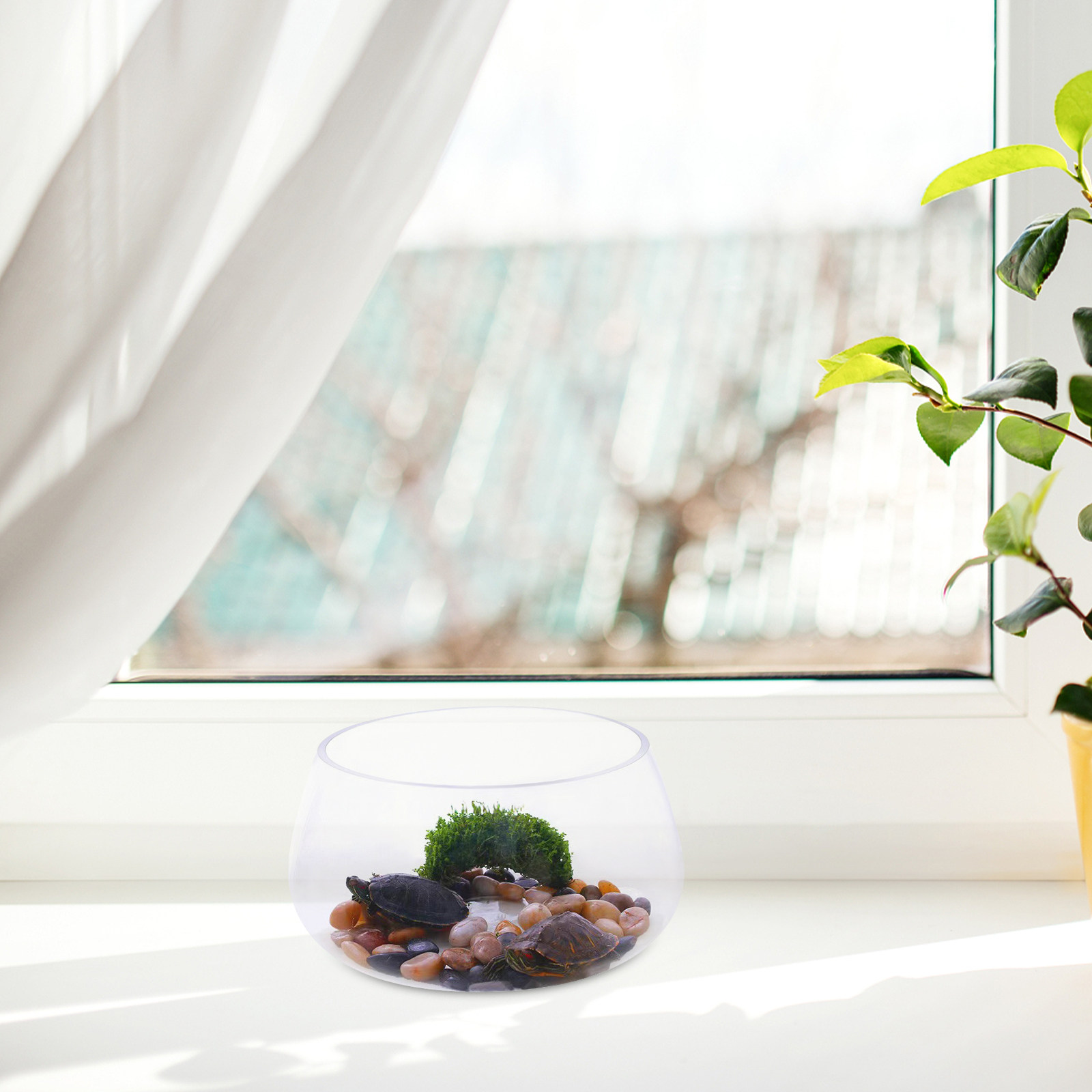 Okrągły przezroczysty szklany  – Aquarium Planted Shop recenzja i cena