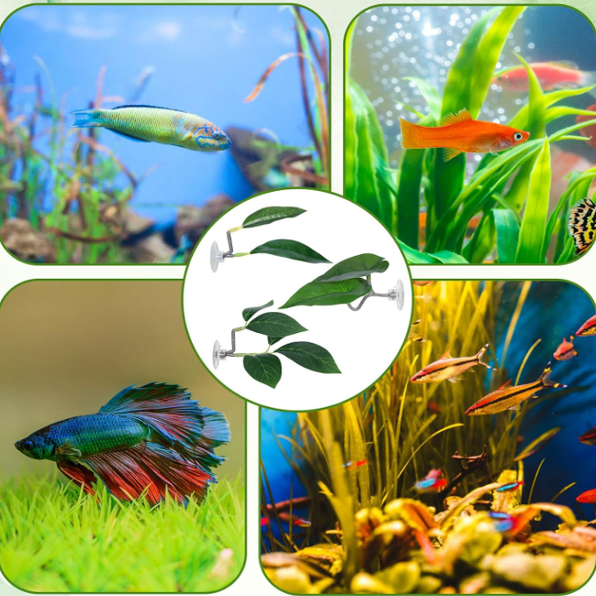 Hamak dla rybki Betta, miękki  – Planted Aquarium For Betta recenzja i cena