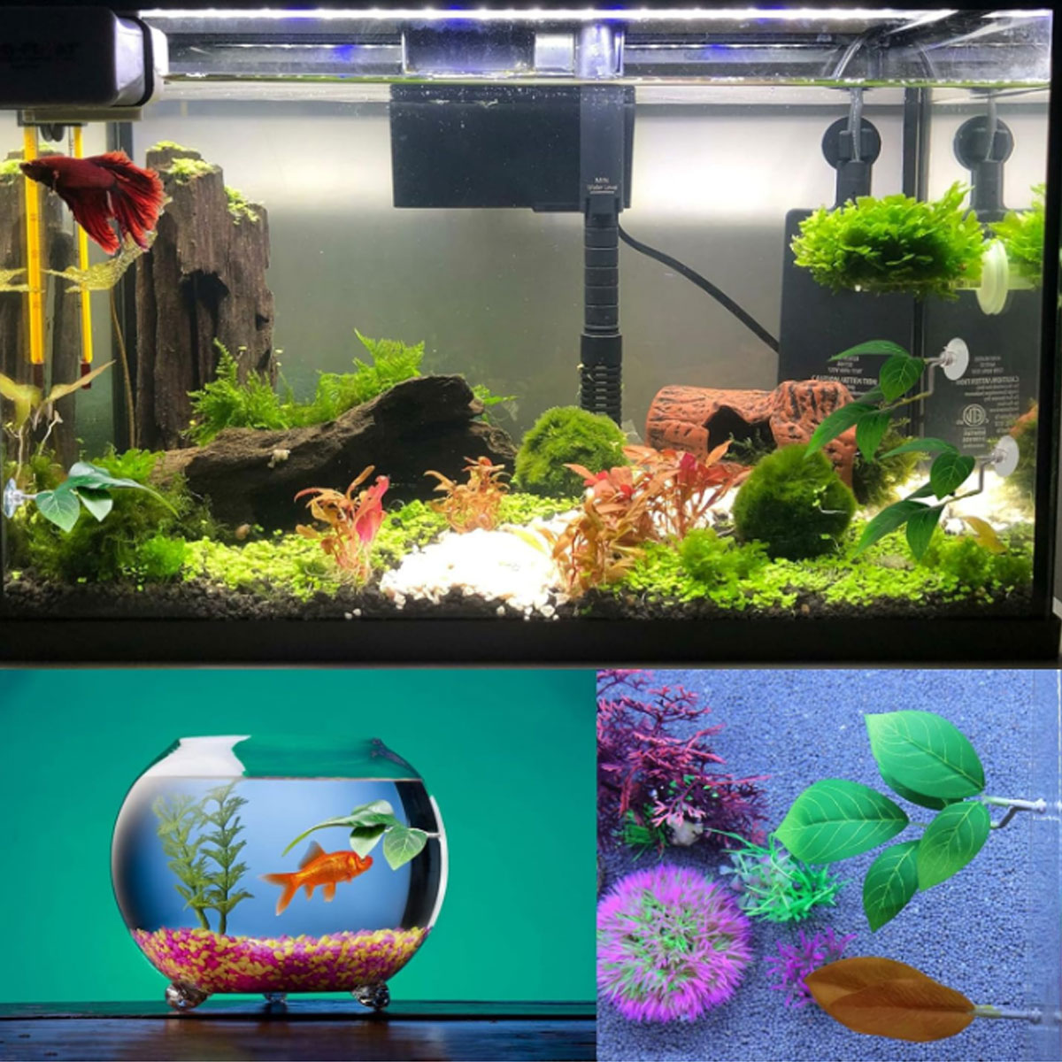 Hamak dla rybki Betta, miękki  – Planted Aquarium For Betta recenzja i cena
