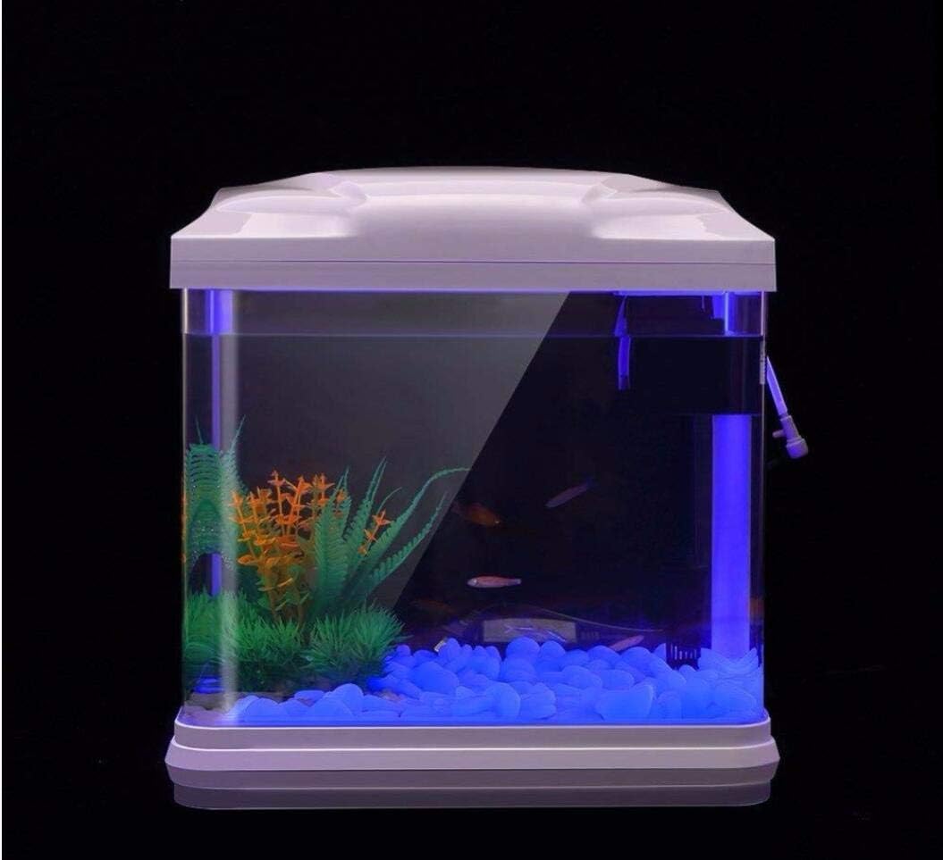 Fish Tank Rocks Glow Blue Pebb – Planted Aquarium With Rocks recenzja i cena
