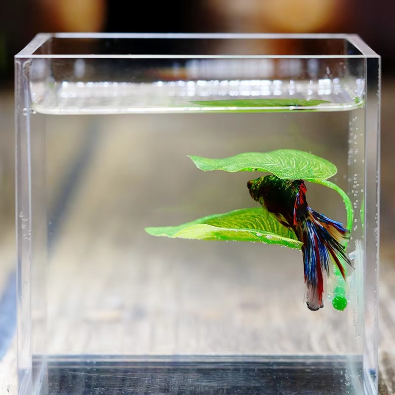 Rośliny do akwarium dla rybek  – Planted Aquarium For Betta recenzja i cena