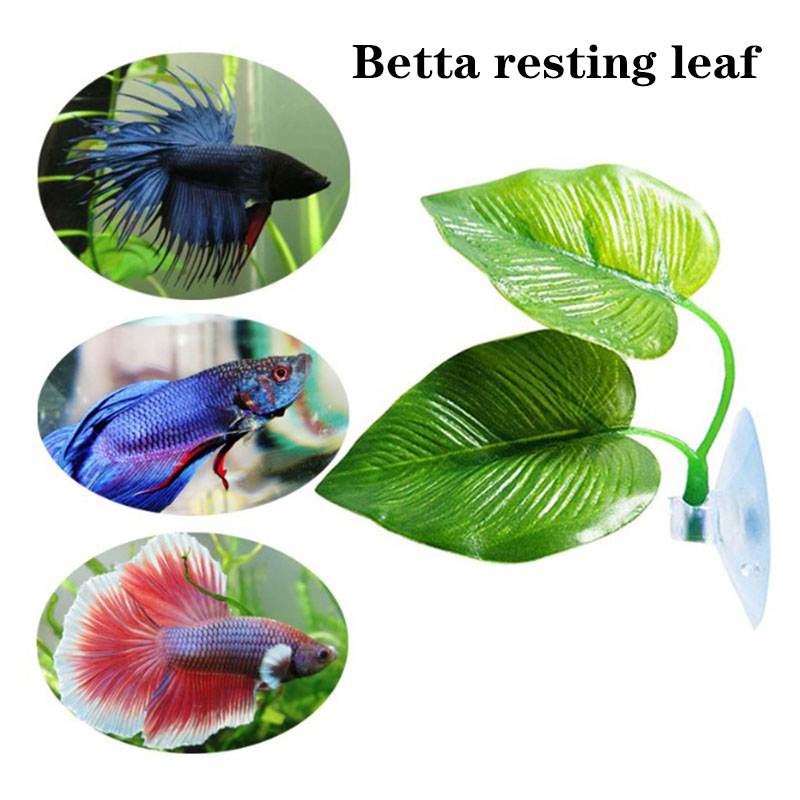 Rośliny do akwarium dla rybek  – Planted Aquarium For Betta recenzja i cena