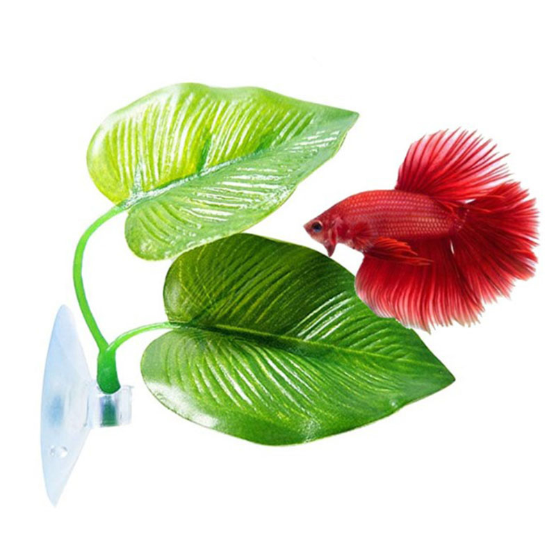 Rośliny do akwarium dla rybek  – Planted Aquarium For Betta recenzja i cena