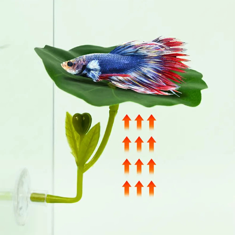 1 szt. Zielony liść-hamak dla  – Planted Aquarium For Betta recenzja i cena