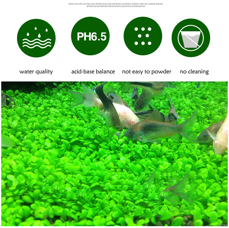 Roślina akwariowa nasiona gleb – Aquasoil Substrate recenzja i cena