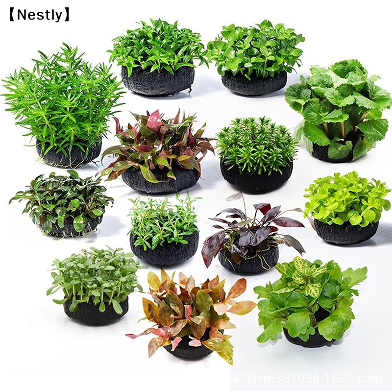 2 szt. Substrat do uprawy rośl – Aquasoil Substrate recenzja i cena