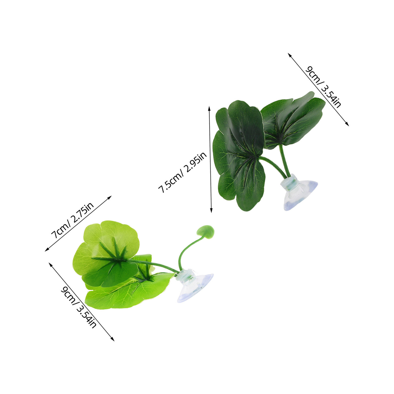 10 szt. Liście dla rybek Betta – Planted Aquarium For Betta recenzja i cena