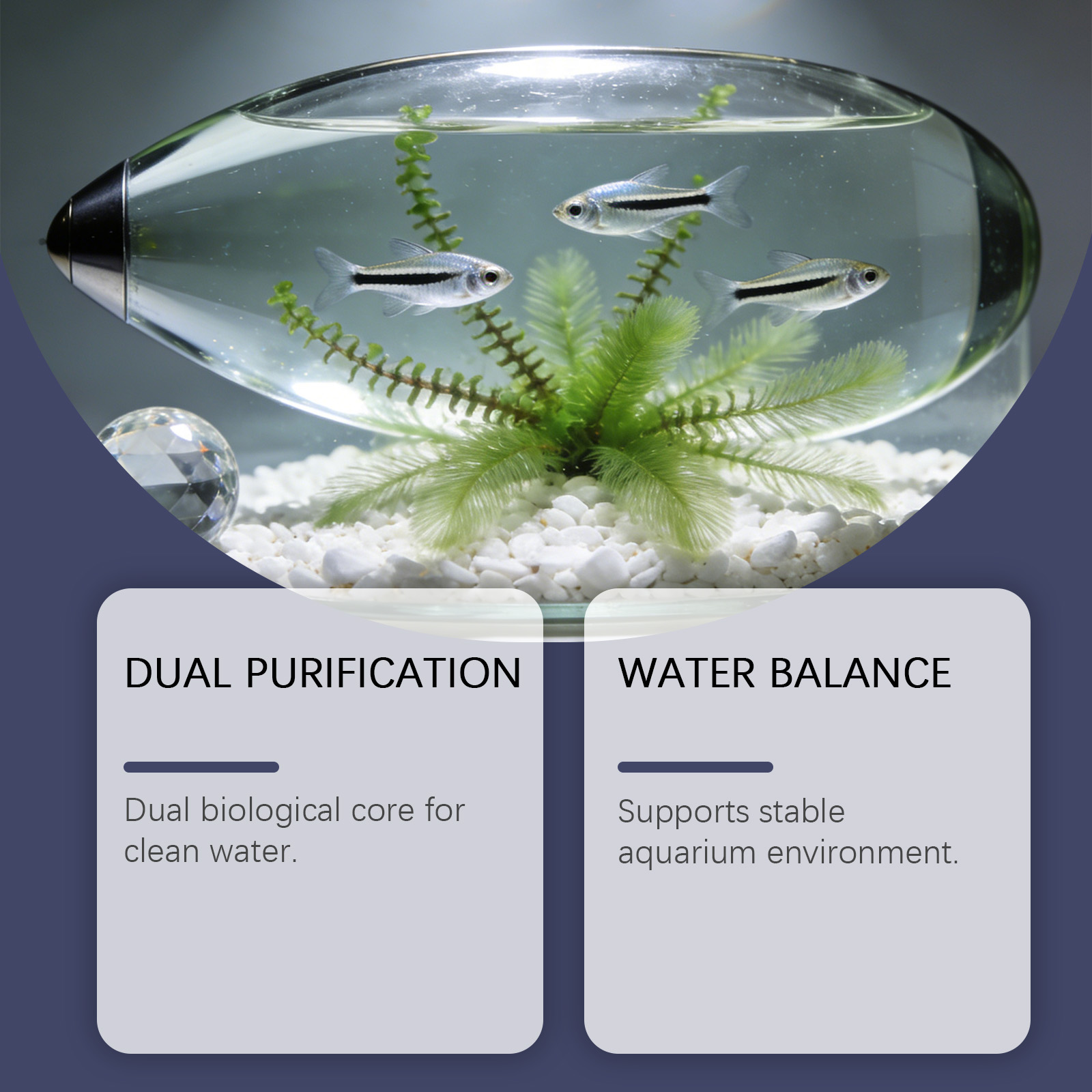 Tabletki do usuwania glonów do – Planted Aquarium Algae Remover recenzja i cena