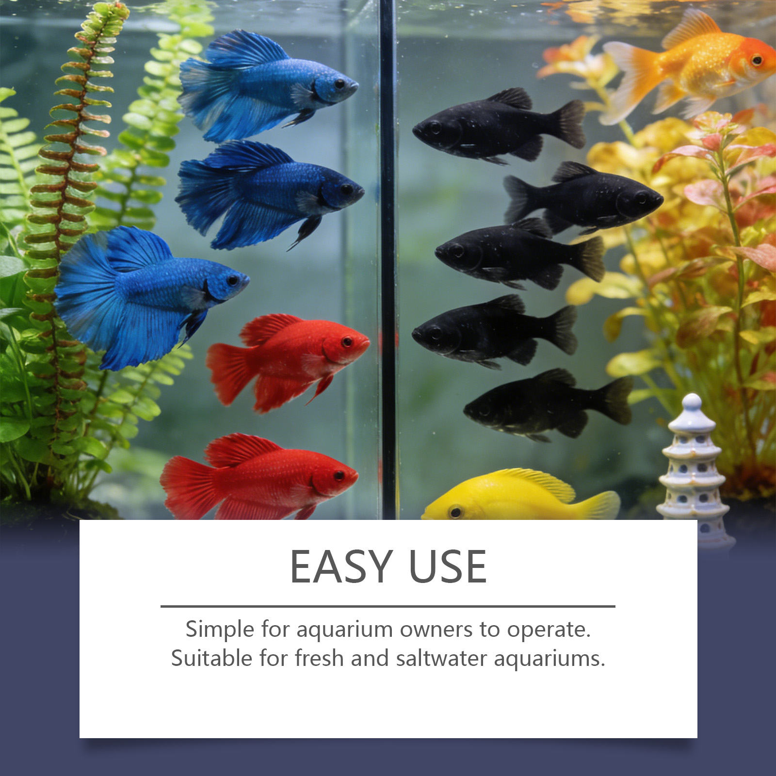 Tabletki do usuwania glonów do – Planted Aquarium Algae Remover recenzja i cena