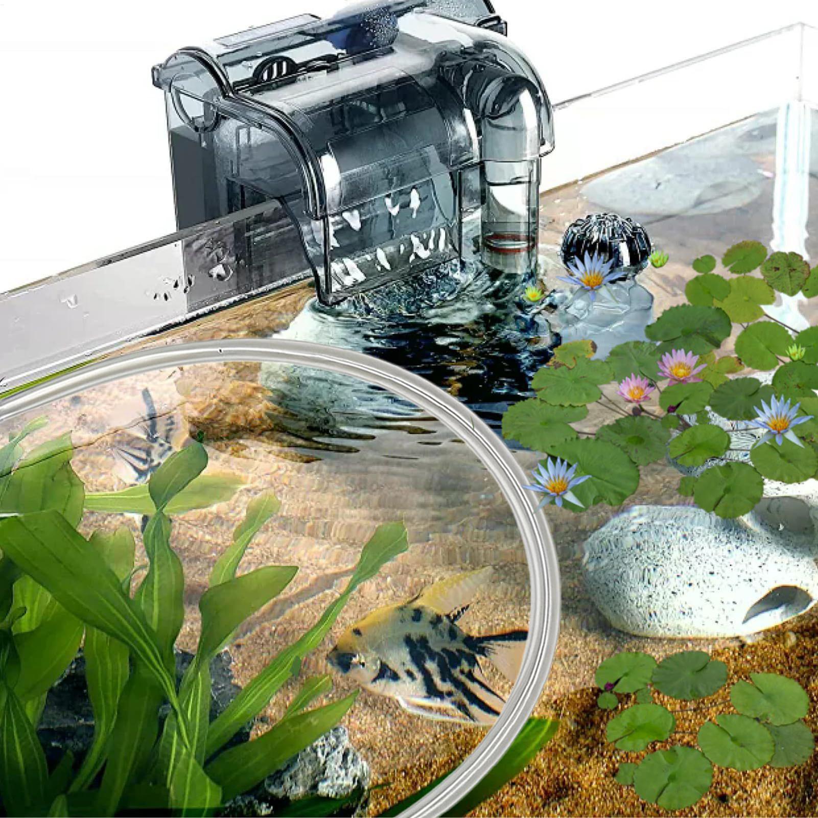Automatycznie regulowana barie – Planted Aquarium For Betta recenzja i cena