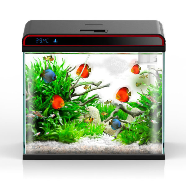 Sunsun 4-w-1 Kondycjoner do wo – Planted Aquarium Algae Remover recenzja i cena